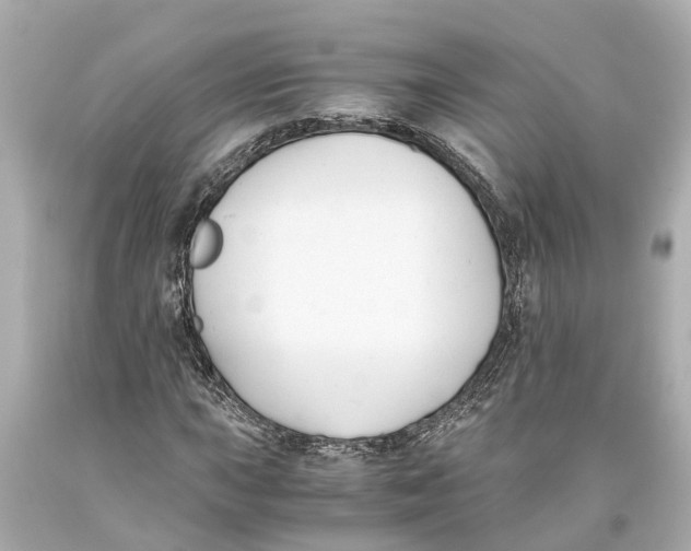 X0000093591015200711051134