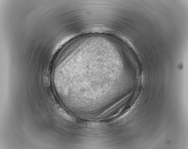 X0000093591018200711051134