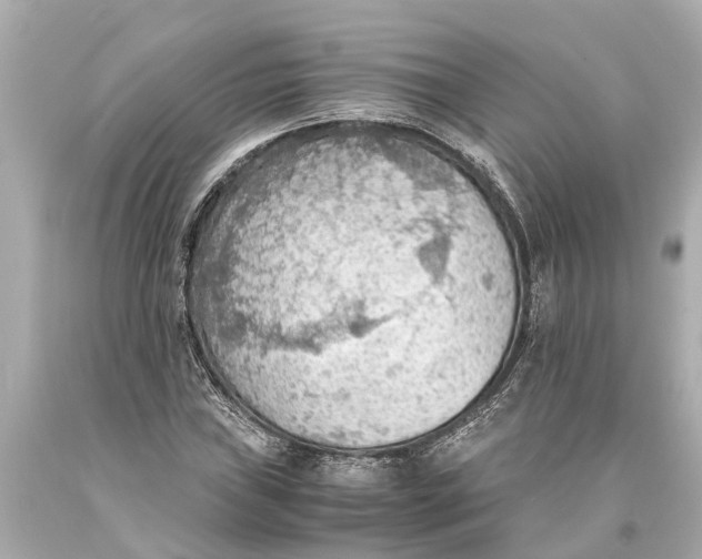 X0000093591019200711051134