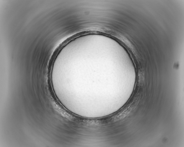 X0000093591020200711051134