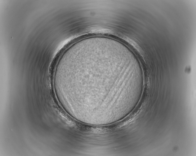 X0000093591022200711051134