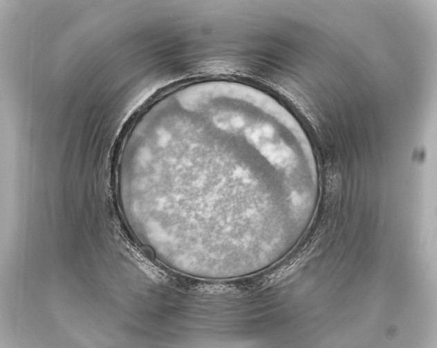 X0000093591023200711051134
