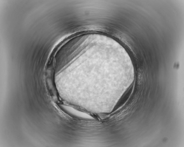 X0000093591024200711051134