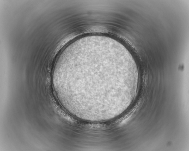 X0000093591025200711051134