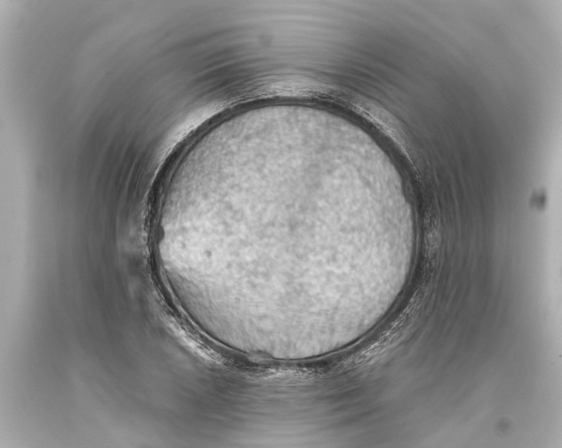 X0000093591026200711051134