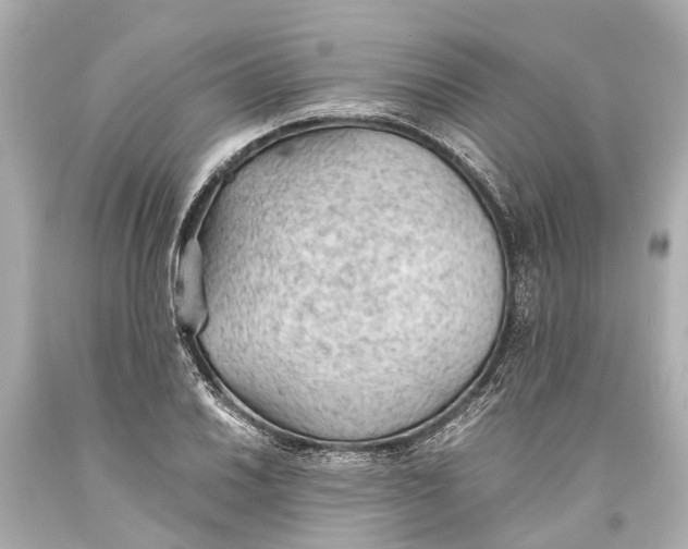 X0000093591030200711051134