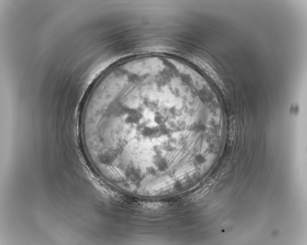 X0000093591031200711051134