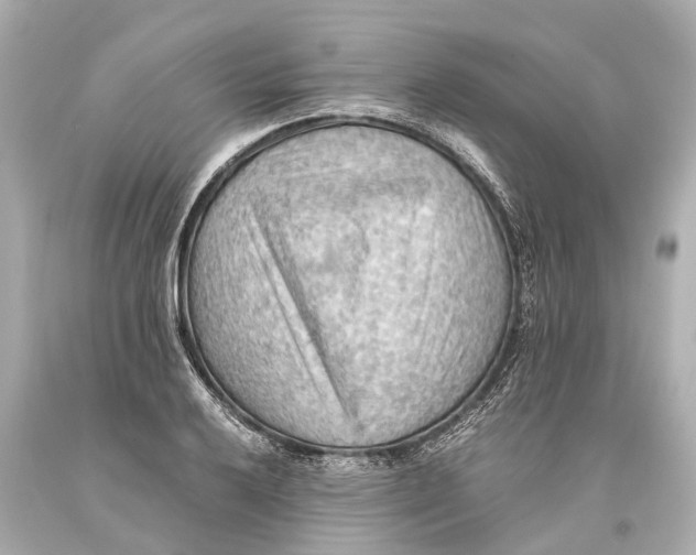 X0000093591032200711051134