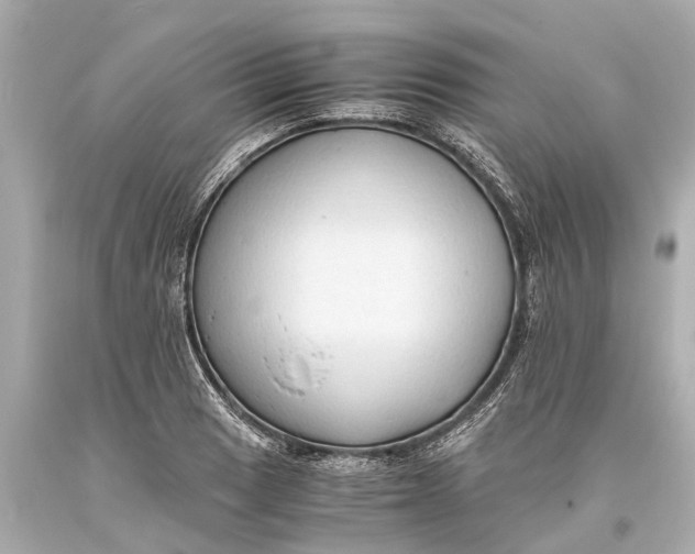 X0000093591033200711051134