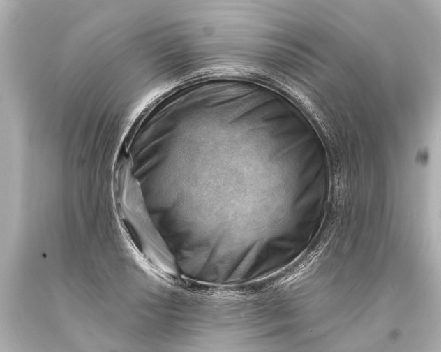 X0000093591034200711051134