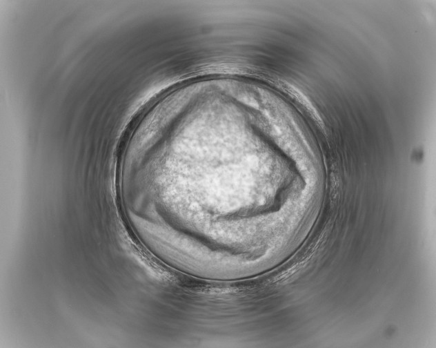 X0000093591035200711051134