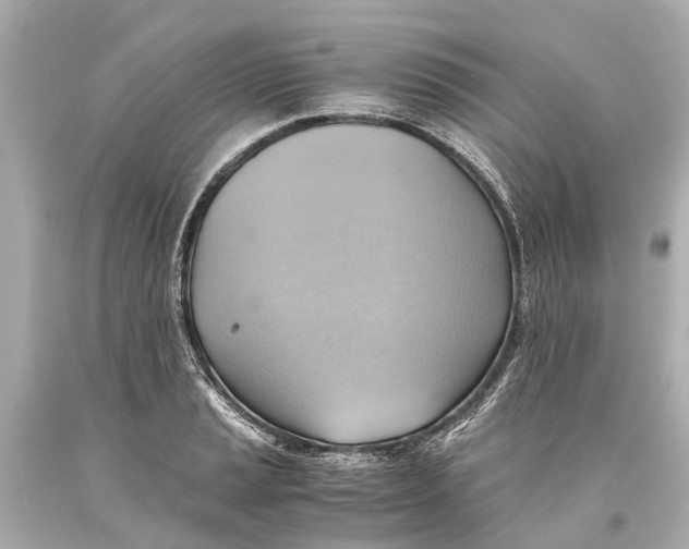 X0000093591037200711051134