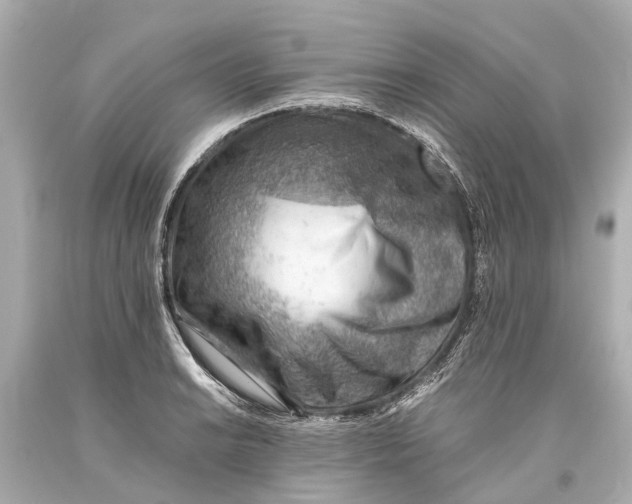X0000093591038200711051134