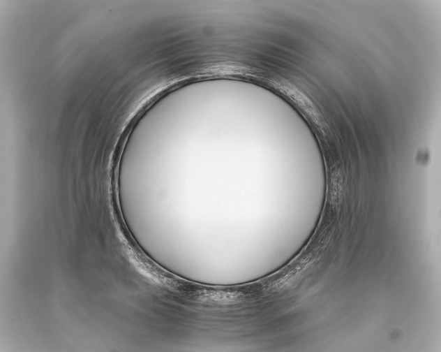 X0000093591039200711051134