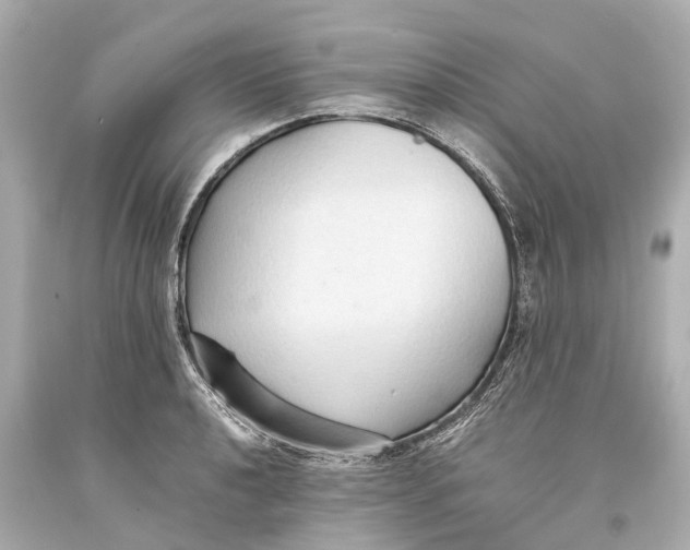 X0000093591040200711051134