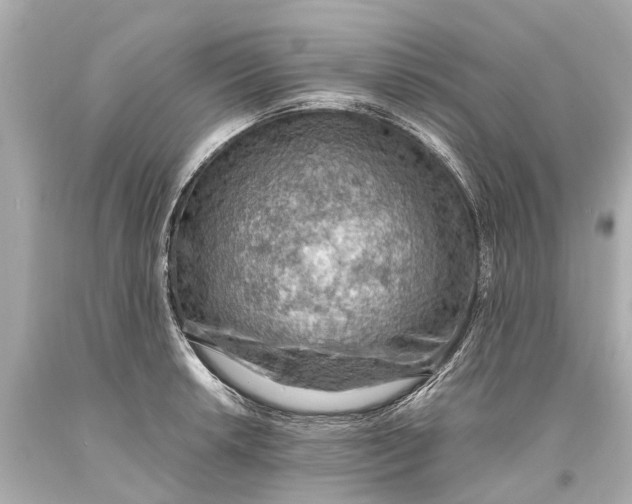 X0000093591042200711051134