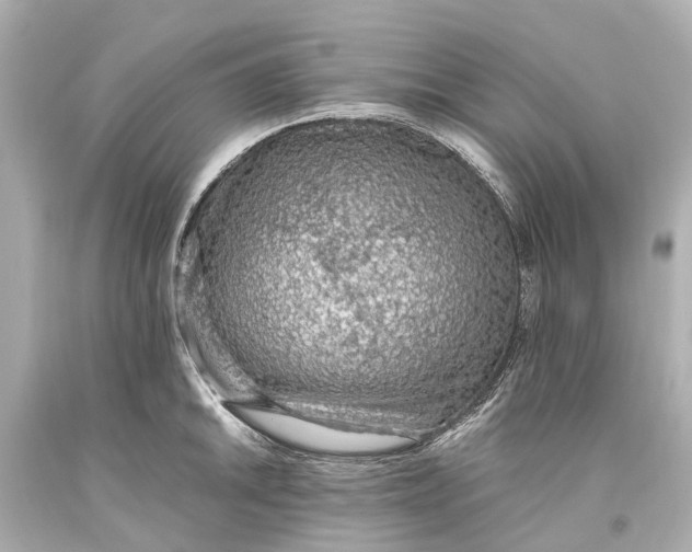 X0000093591046200711051134