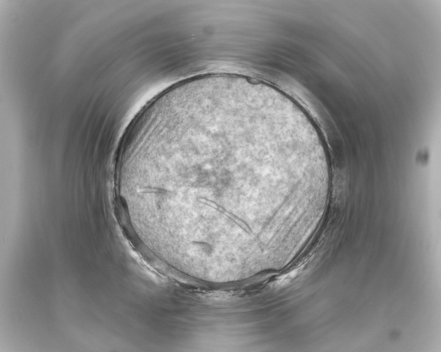 X0000093591048200711051134