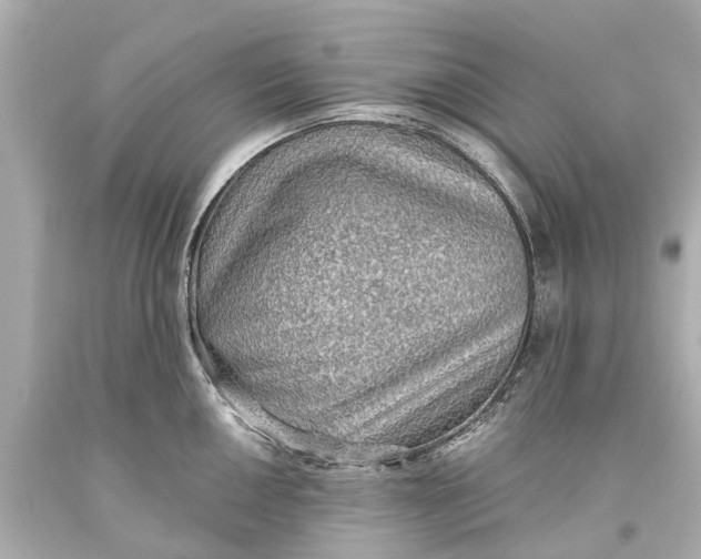 X0000093591050200711051134