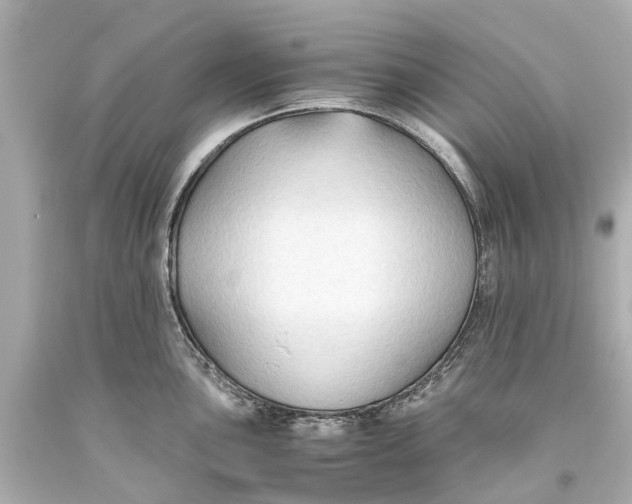 X0000093591051200711051134