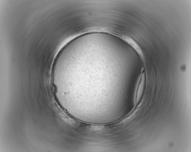 X0000093591052200711051134