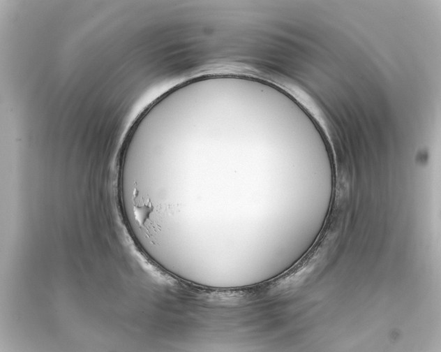 X0000093591053200711051134
