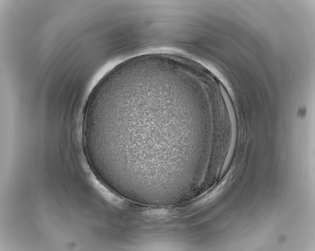 X0000093591054200711051134