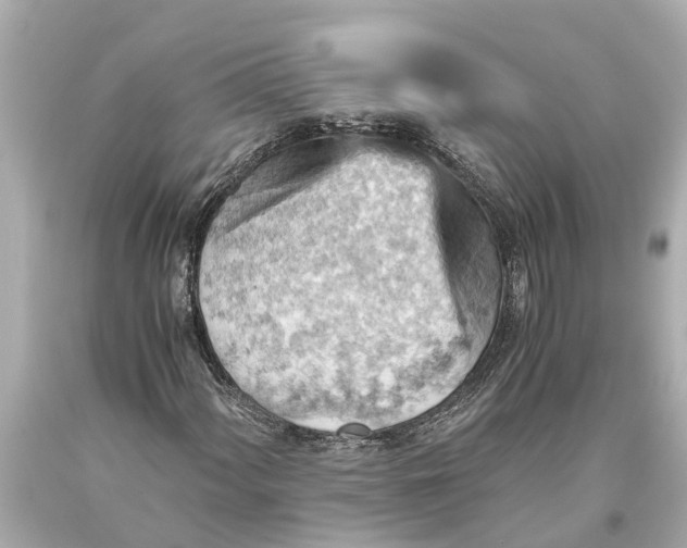 X0000093591060200711051134