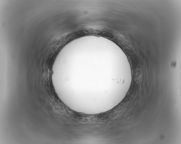 X0000093591061200711051134