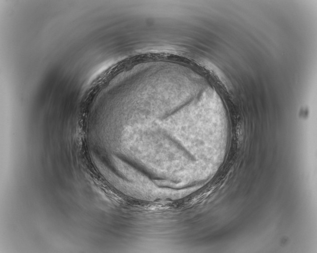 X0000093591064200711051134
