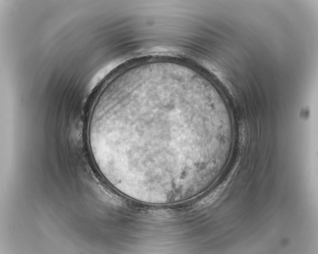 X0000093591066200711051133