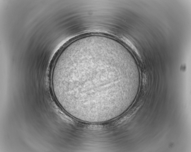 X0000093591068200711051133