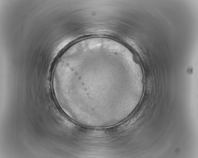 X0000093591071200711051133