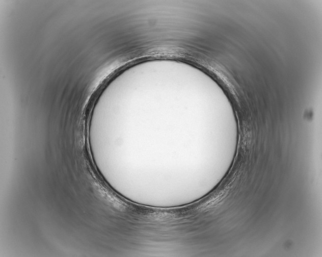 X0000093591075200711051133