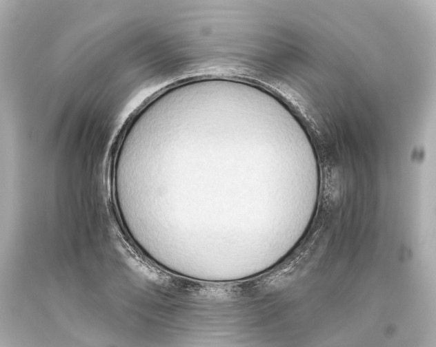 X0000093591078200711051133