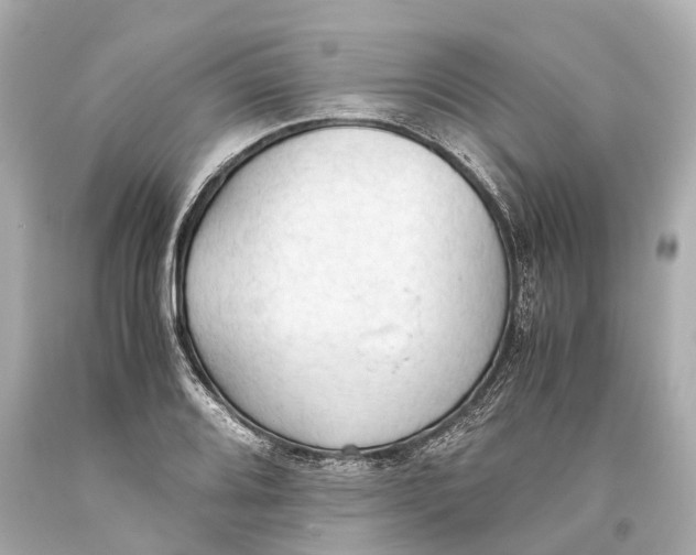 X0000093591080200711051133