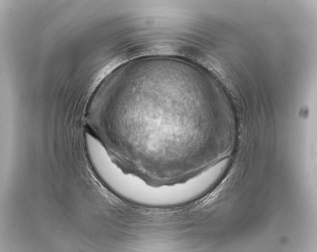X0000093591081200711051133
