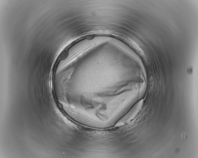 X0000093591084200711051133