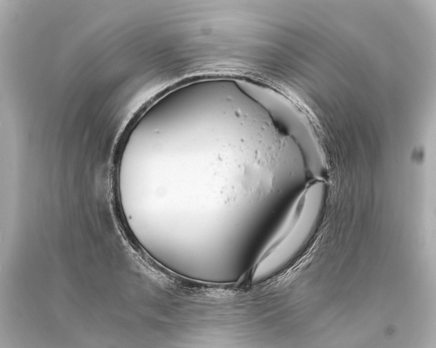 X0000093591085200711051133