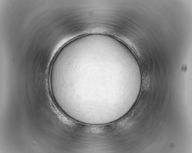 X0000093591086200711051133