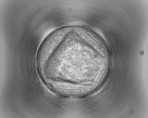X0000093591087200711051133