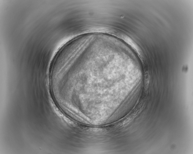 X0000093591088200711051133