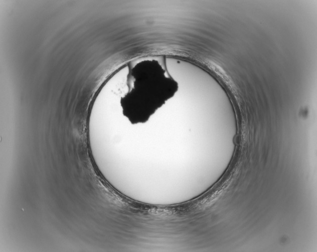 X0000093591089200711051133
