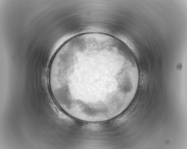 X0000093591094200711051133