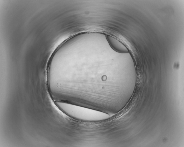 X0000093591095200711051133