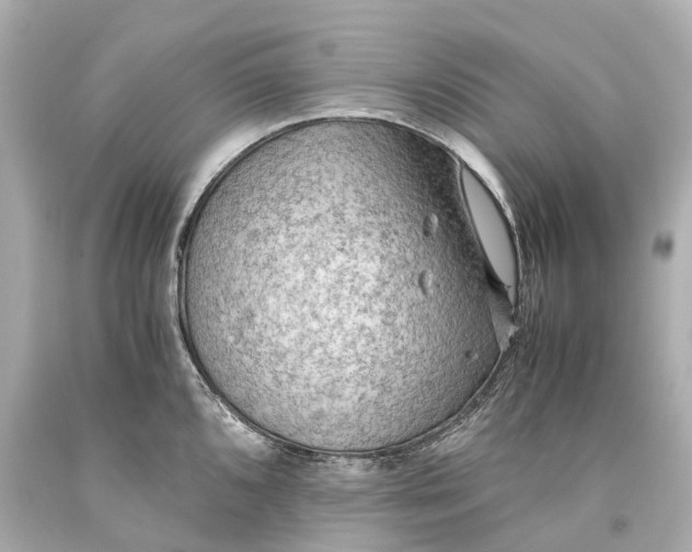X0000093591096200711051133