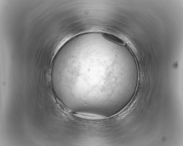 X0000093591097200711051133