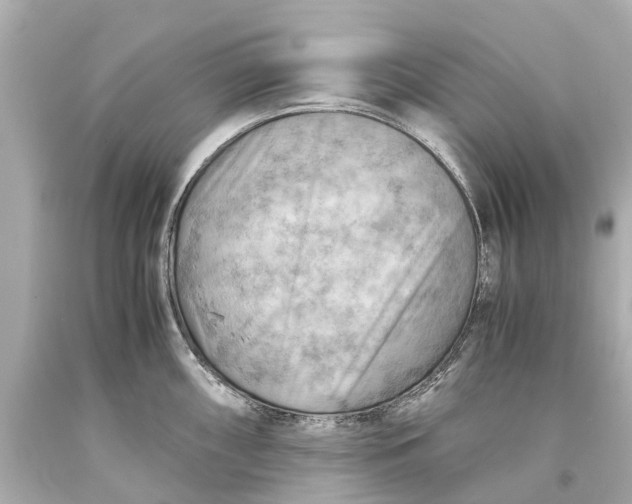 X0000093591098200711051133