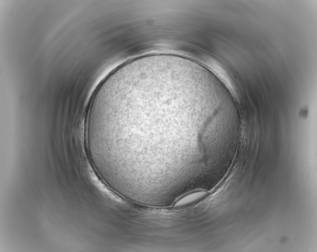 X0000093591100200711051133