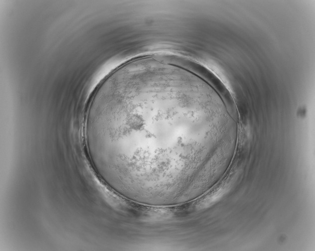 X0000093591101200711051133